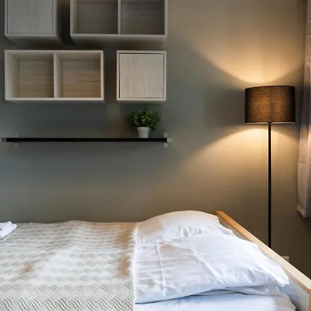 Cozy Close To Downtown With Sauna And Parking